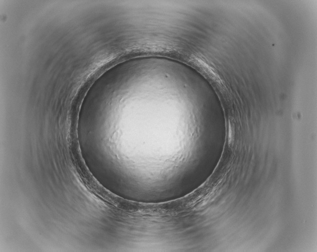 X0000087380627200705111736