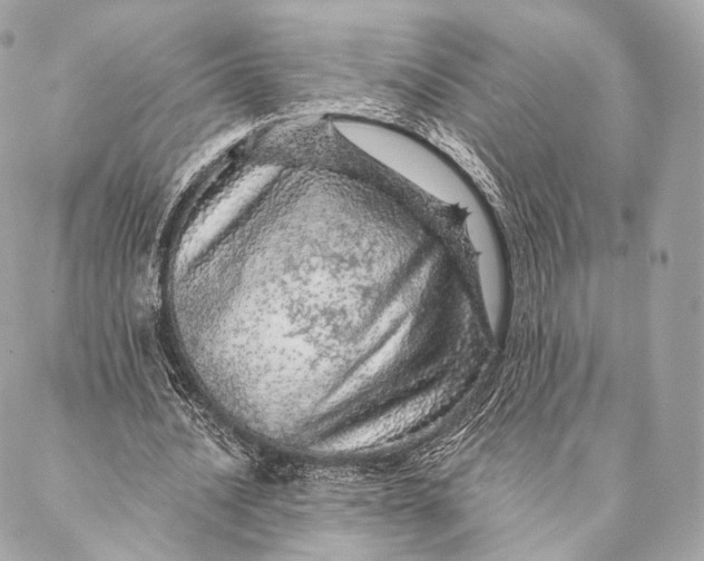 X0000087380628200705111736