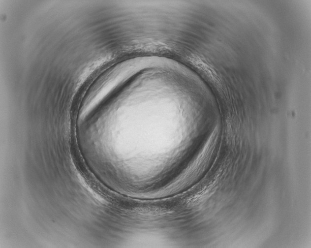 X0000087380630200705111736