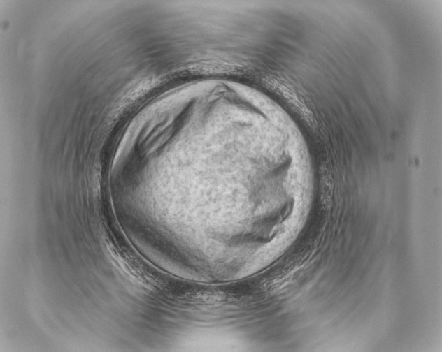 X0000087380631200705111736