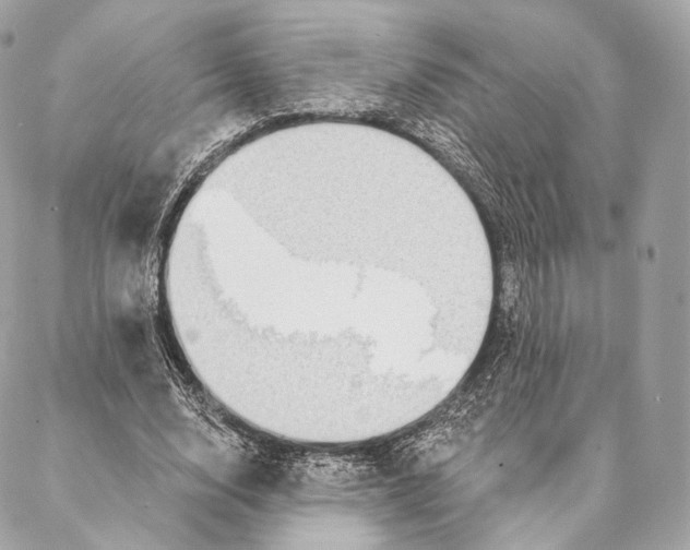 X0000087380632200705111736