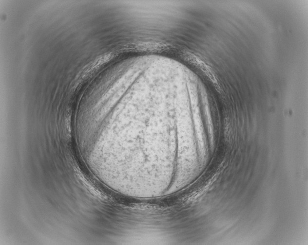 X0000087380633200705111736