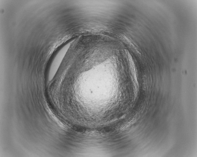 X0000087380634200705111736