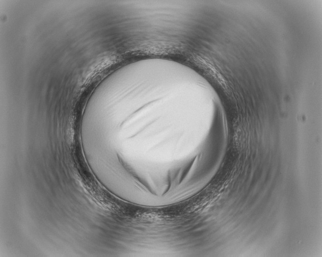 X0000087380635200705111736