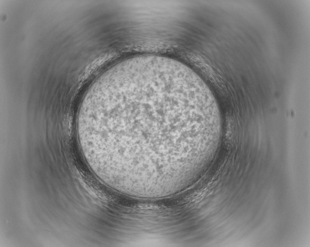 X0000087380636200705111736