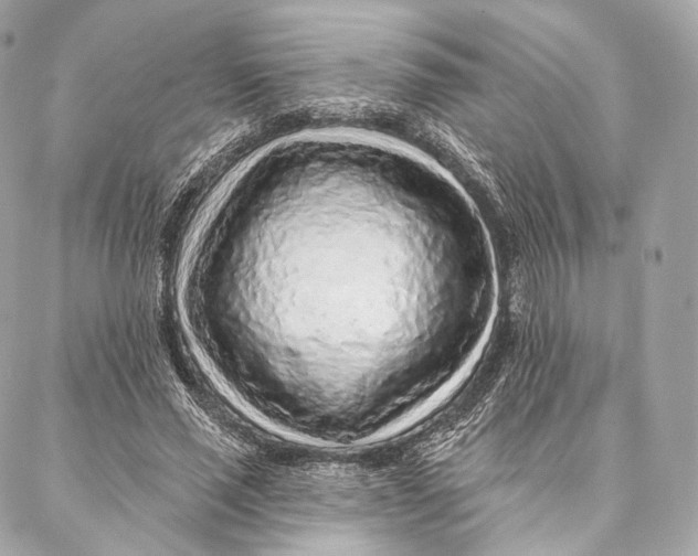 X0000087380637200705111736