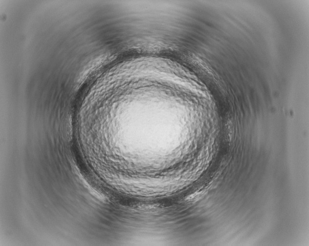 X0000087380638200705111736