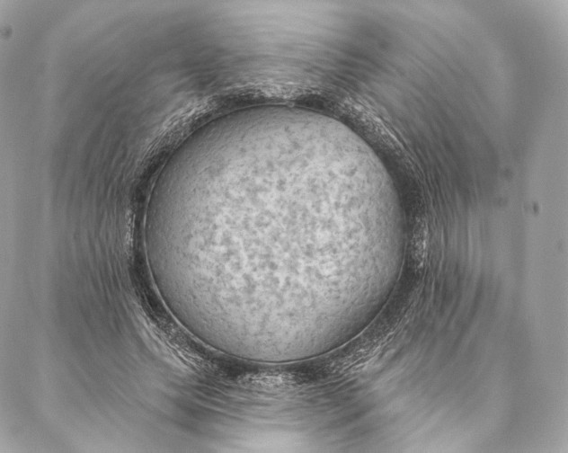 X0000087380639200705111736