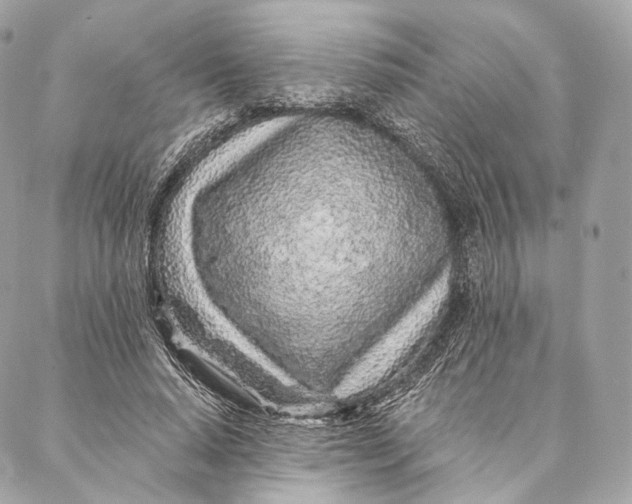 X0000087380640200705111736