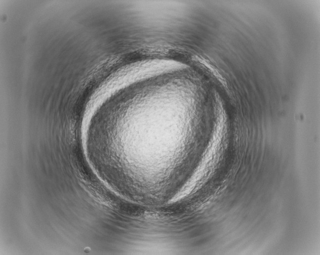 X0000087380641200705111736