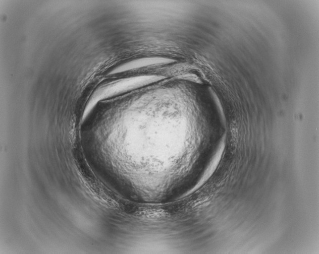 X0000087380642200705111736