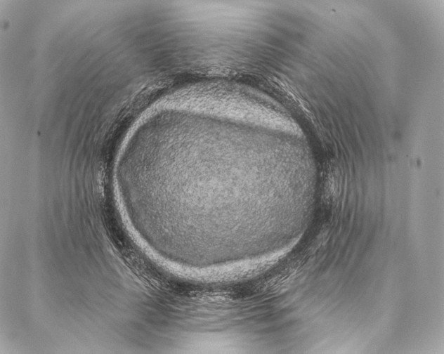 X0000087380643200705111736