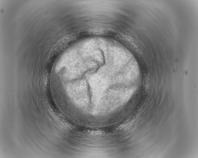 X0000087380645200705111736