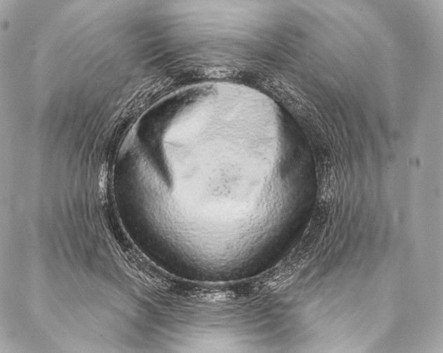 X0000087380646200705111736