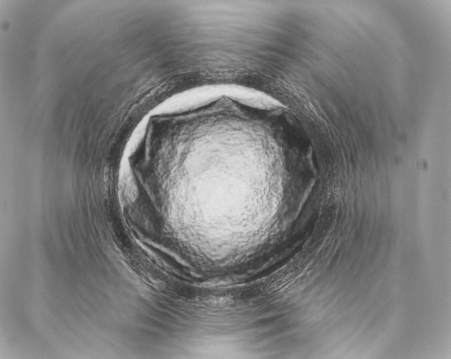 X0000087380647200705111736