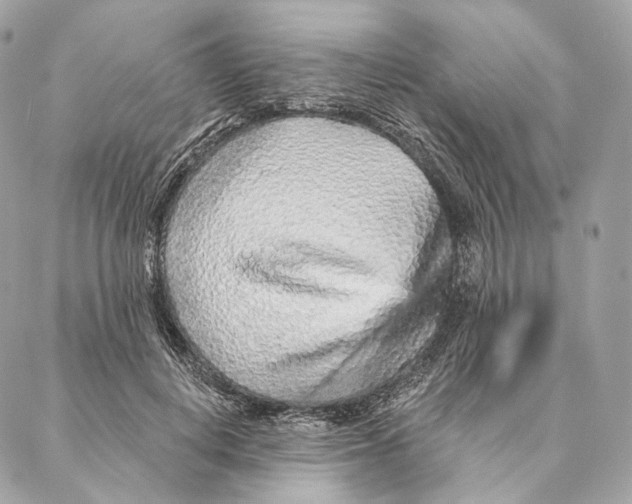 X0000087380648200705111736