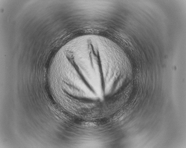 X0000087380649200705111736