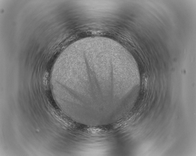 X0000087380650200705111737