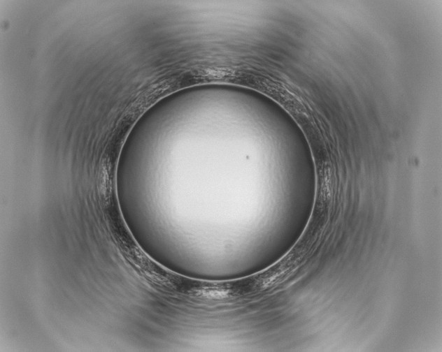 X0000087380651200705111737