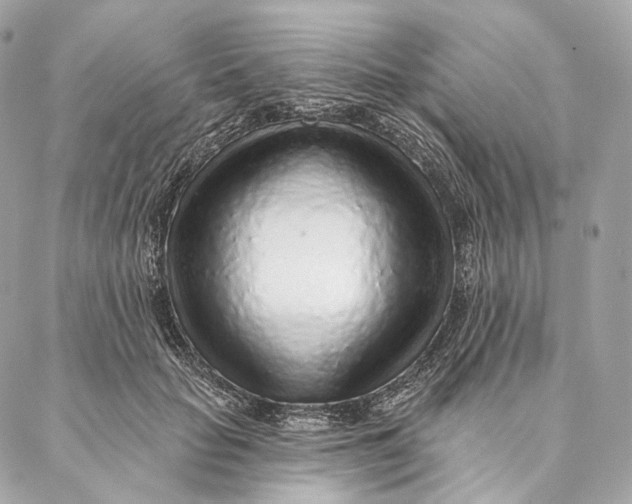 X0000087380653200705111737