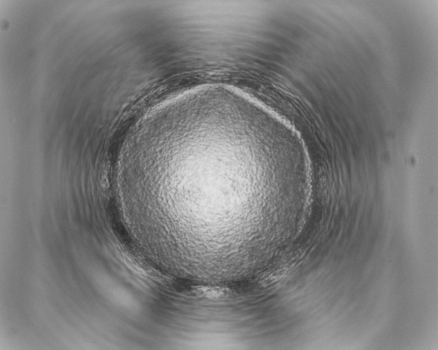 X0000087380654200705111737