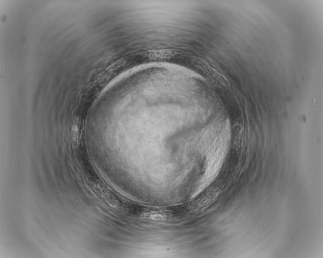 X0000087380655200705111737