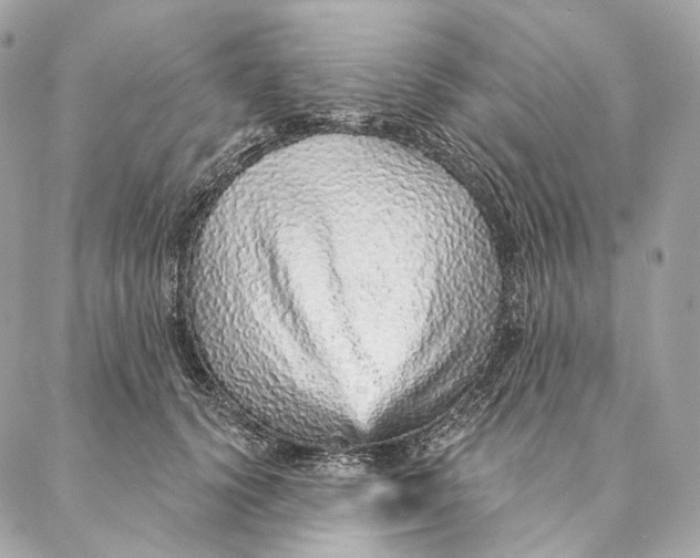 X0000087380656200705111737