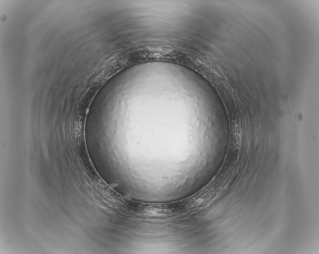 X0000087380657200705111737