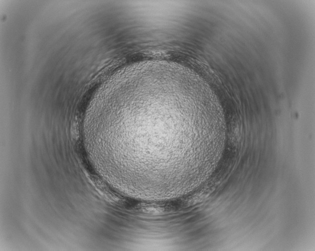 X0000087380658200705111737