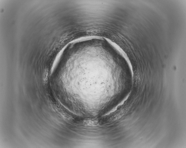 X0000087380660200705111737