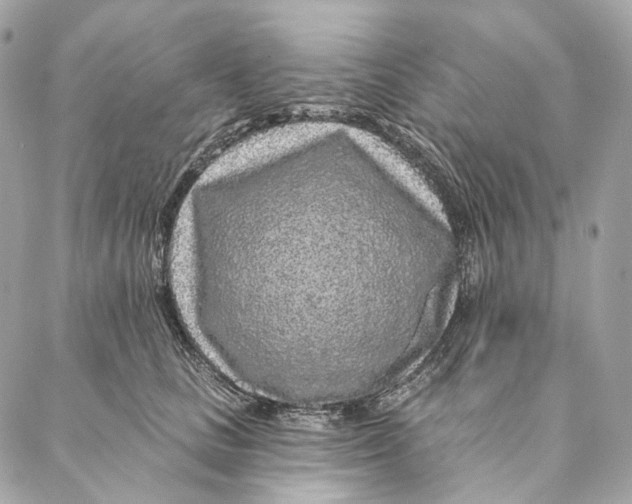 X0000087380661200705111737