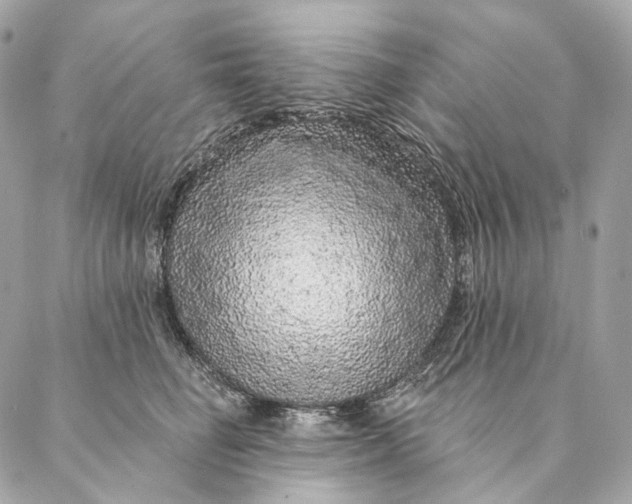 X0000087380662200705111737