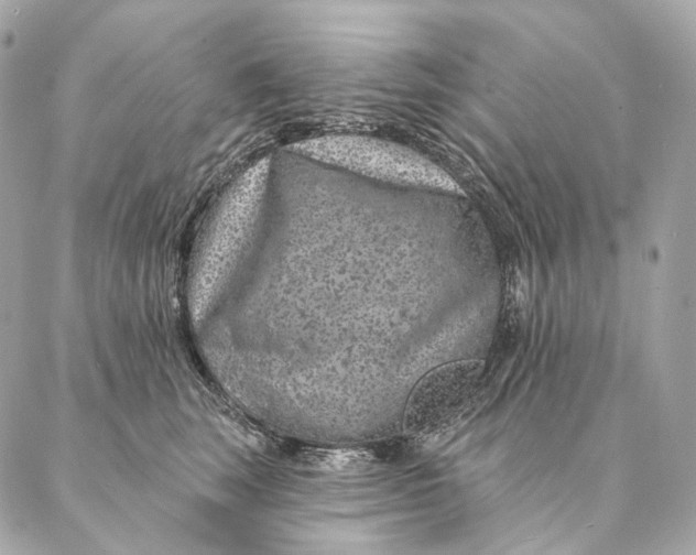 X0000087380663200705111737