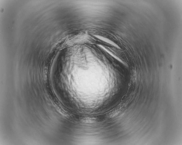 X0000087380664200705111737