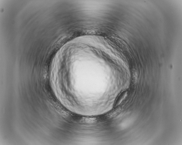 X0000087380665200705111737