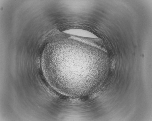 X0000087380666200705111737