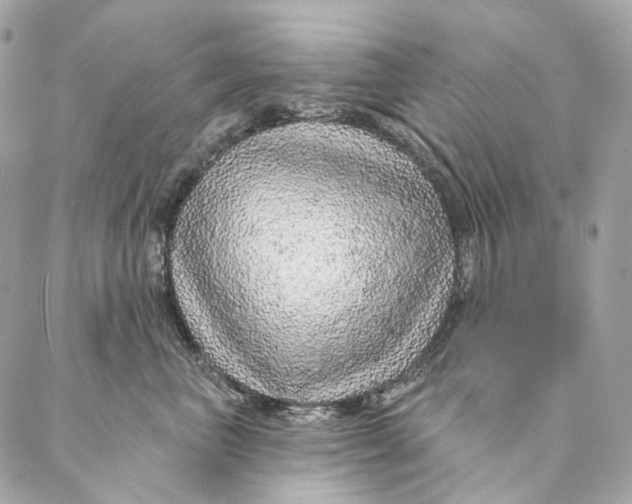 X0000087380667200705111737