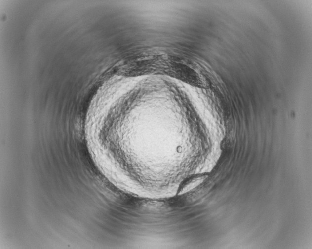 X0000087380669200705111737