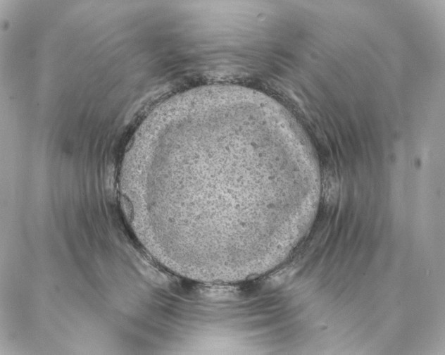 X0000087380670200705111737