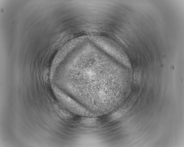 X0000087380671200705111737