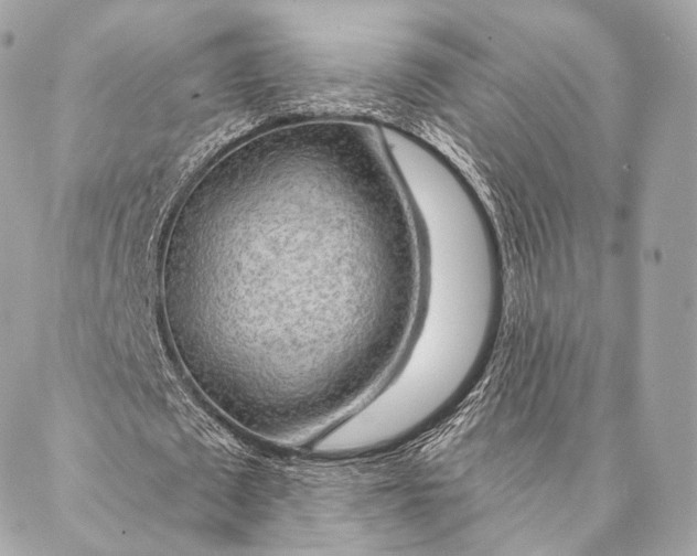 X0000087380673200705111736