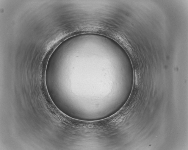 X0000087380675200705111736