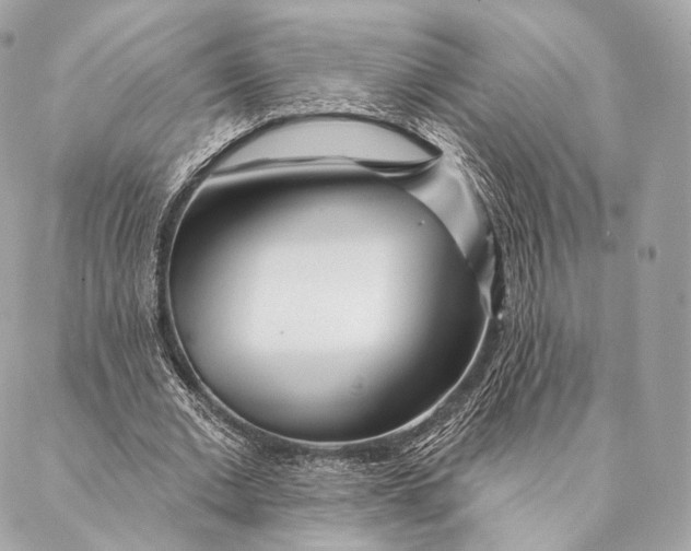 X0000087380677200705111736