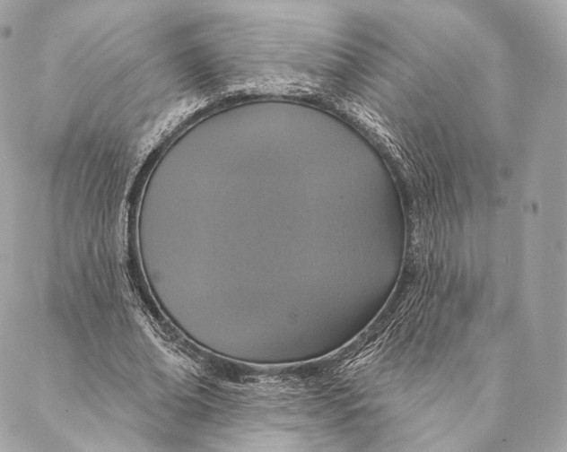 X0000087380678200705111736