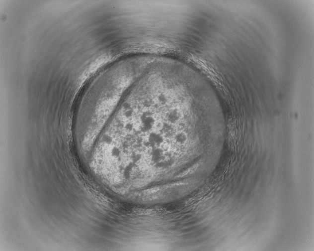 X0000087380679200705111736