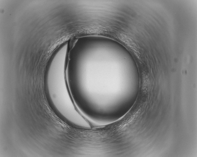 X0000087380681200705111736