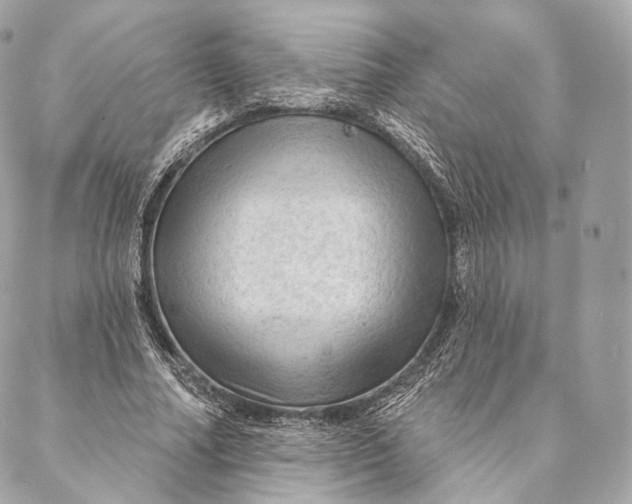 X0000087380682200705111736