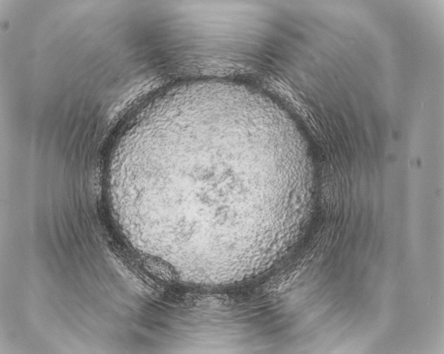 X0000087380683200705111736