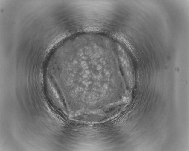 X0000087380684200705111736