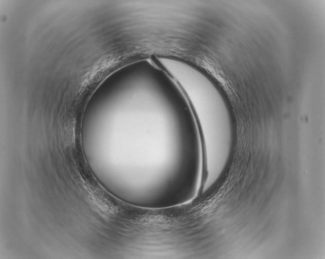 X0000087380685200705111736